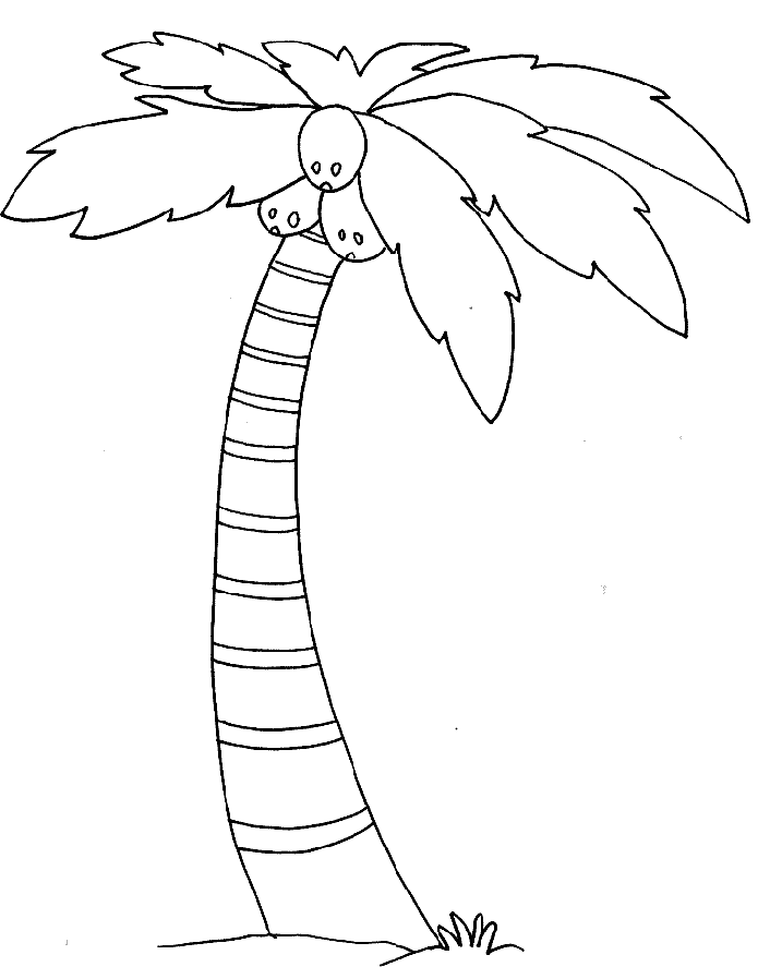 Palm Tree 1 Cool Coloring Page