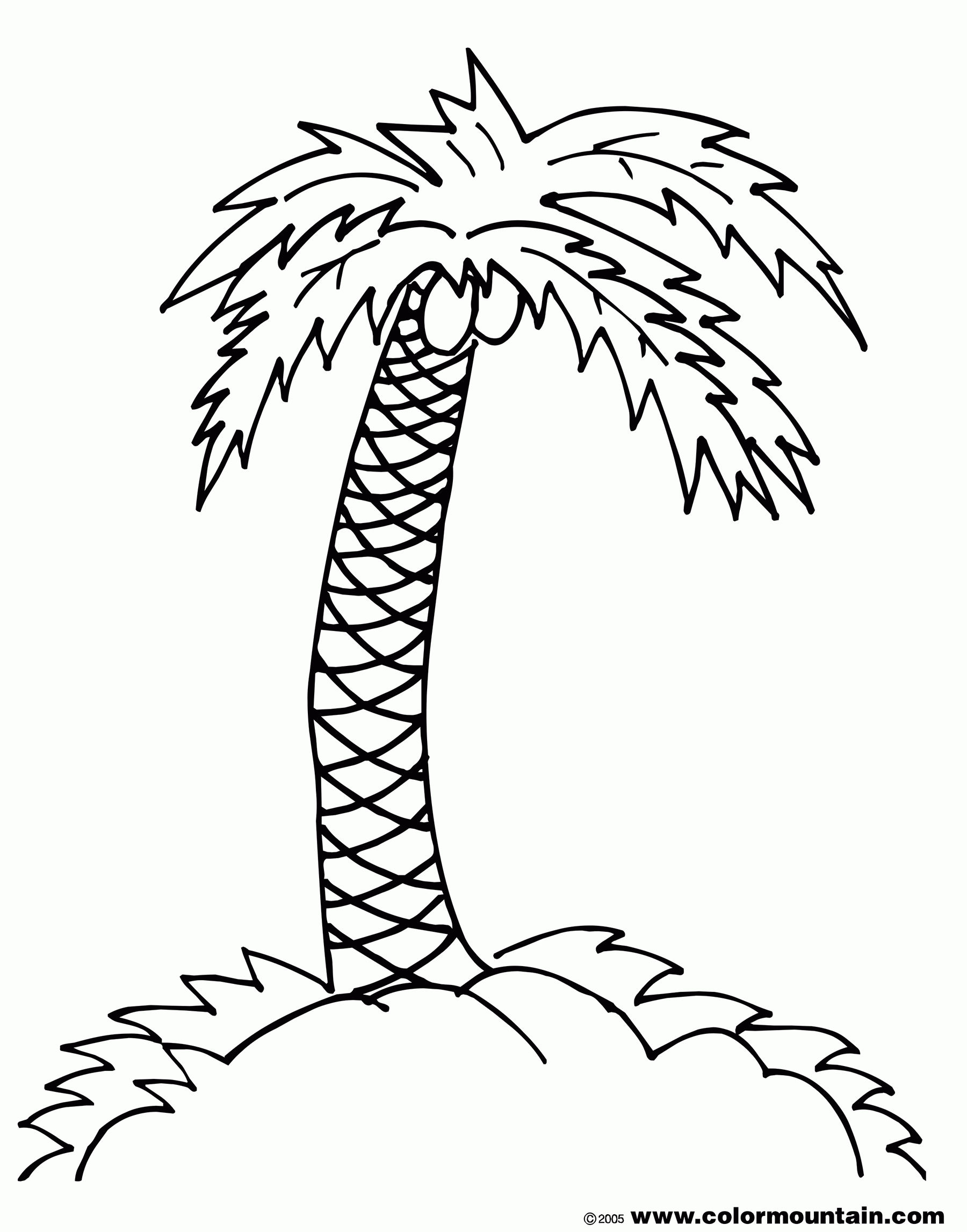 Palm Tree 11 Cool Coloring Page