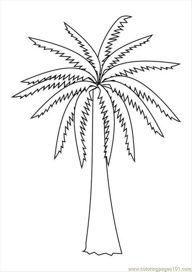 Cool Palm Tree 12 Coloring Page