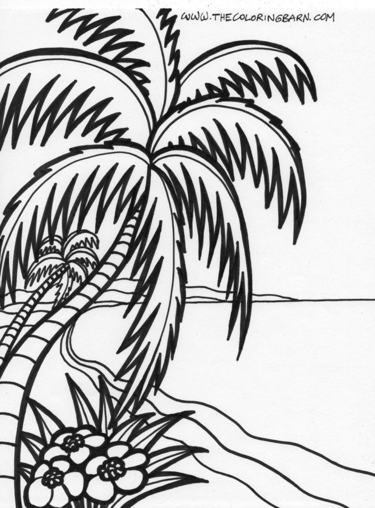 Palm Tree 13 Cool Coloring Page