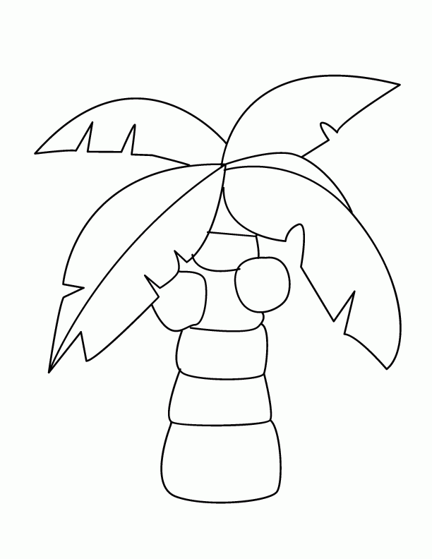 Palm Tree 14 For Kids Coloring Page
