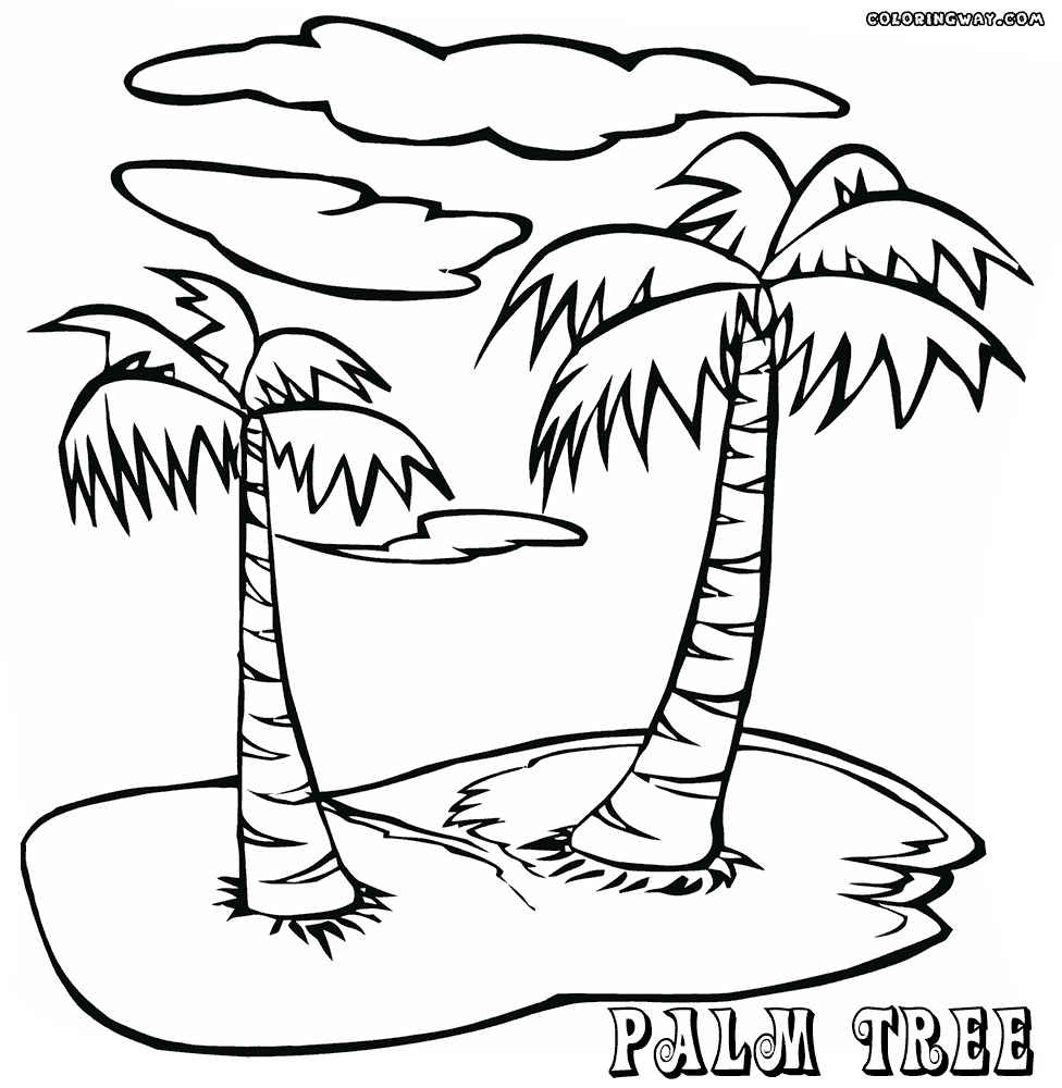Palm Tree 15 Cool Coloring Page