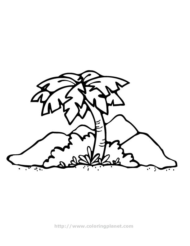 Cool Palm Tree 16 Coloring Page