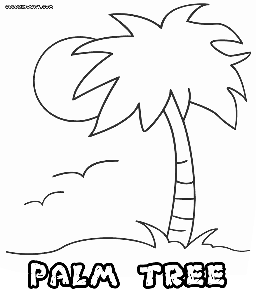 Palm Tree 17 Cool Coloring Page