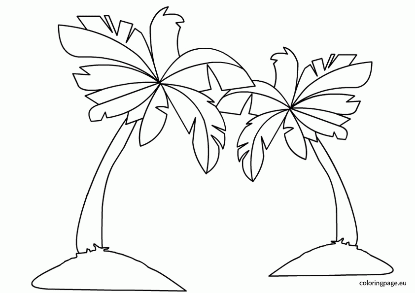 Palm Tree 19 Cool Coloring Page