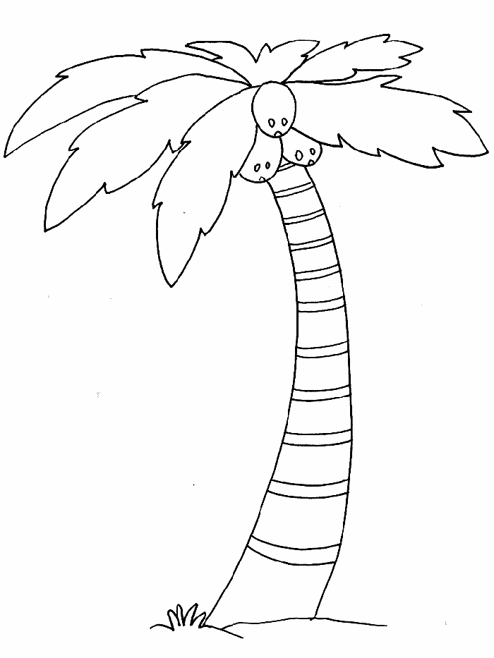 Palm Tree 2 For Kids Coloring Page
