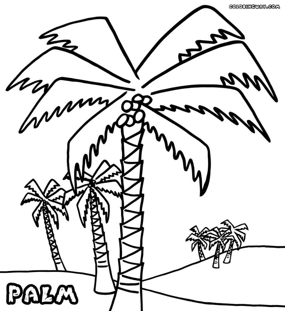Cool Palm Tree 20 Coloring Page