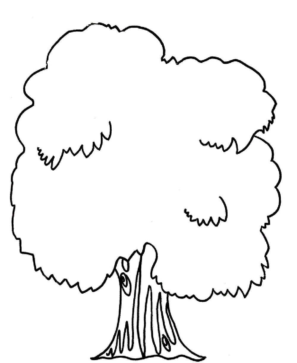 Palm Tree 25 Cool Coloring Page