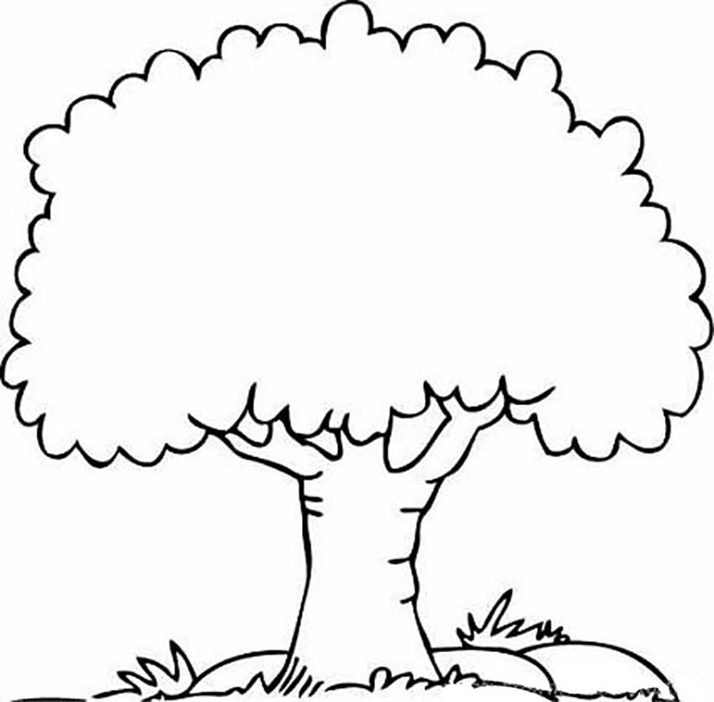 Palm Tree 27 Cool Coloring Page