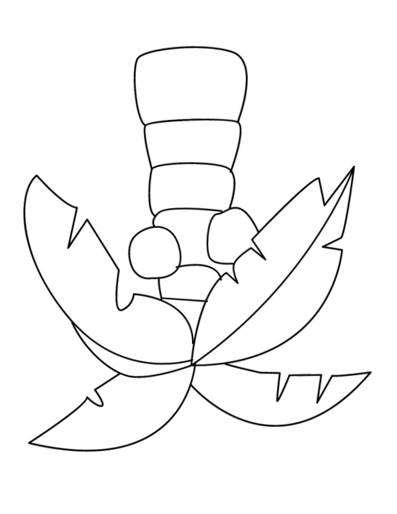 Palm Tree 29 Cool Coloring Page