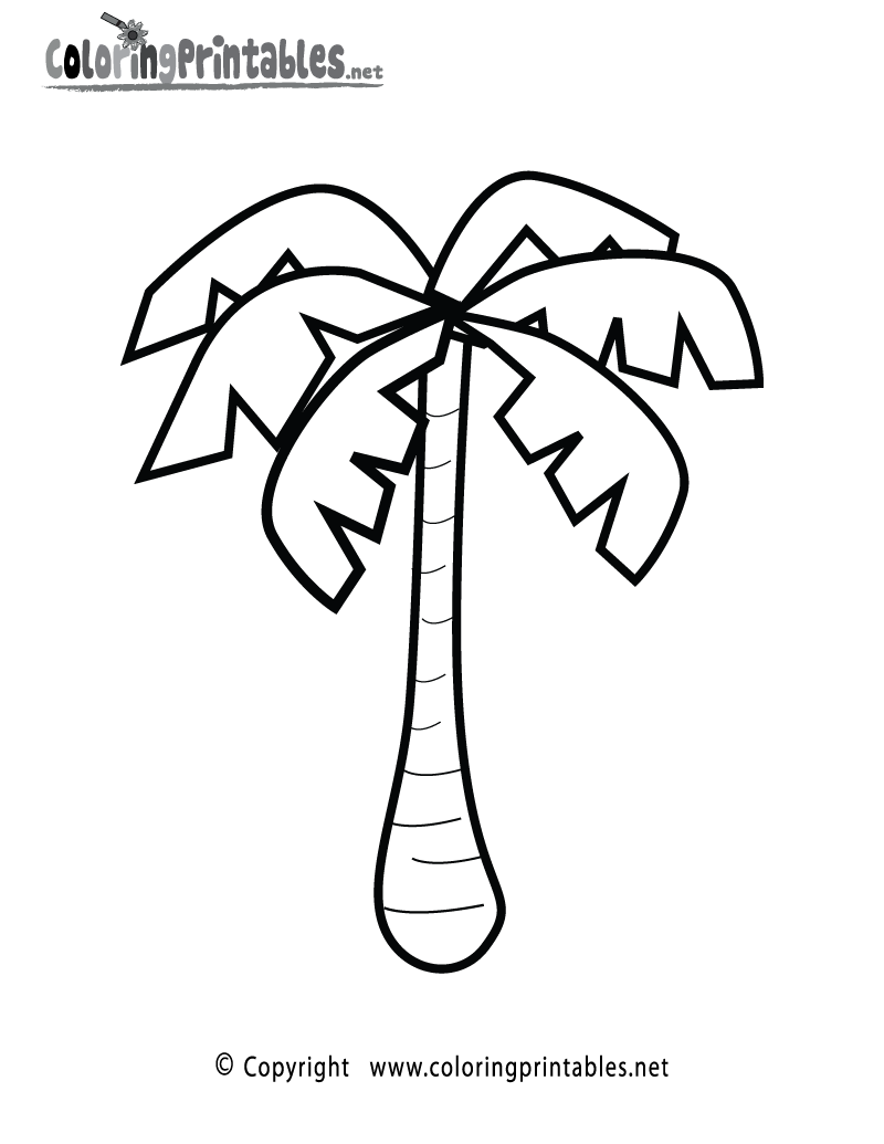 Palm Tree 3 Cool Coloring Page