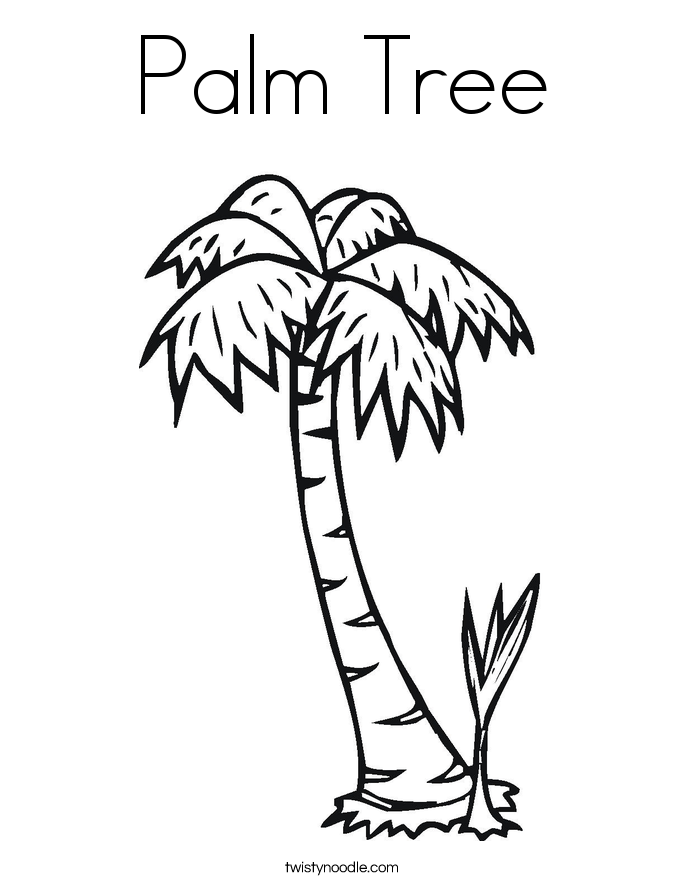 Palm Tree 5 Cool Coloring Page