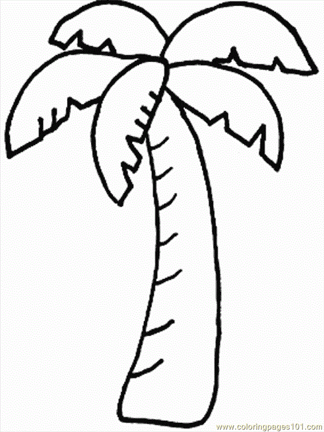 Palm Tree 6 For Kids Coloring Page