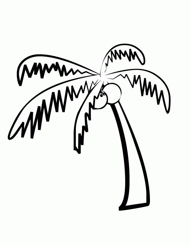 Palm Tree 7 Cool Coloring Page