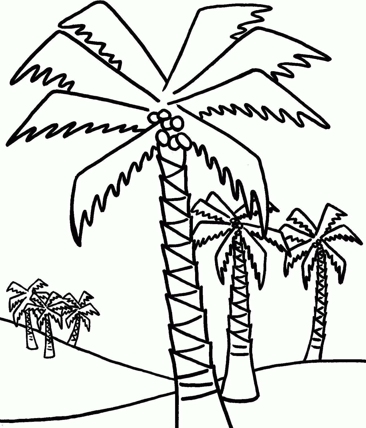 Cool Palm Tree 8 Coloring Page