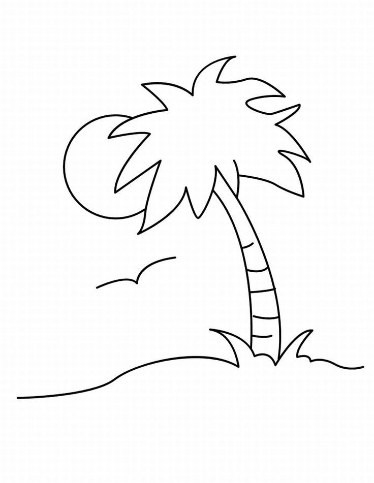 Palm Tree 9 Cool Coloring Page