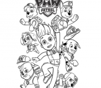 Cool Paw Patrol 56