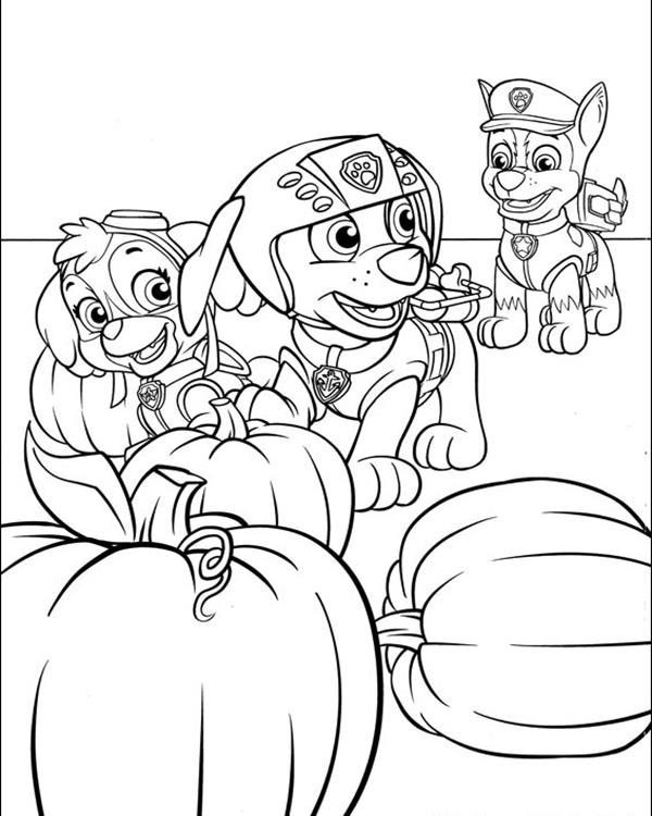 Paw Patrol 39 Cool Coloring Page