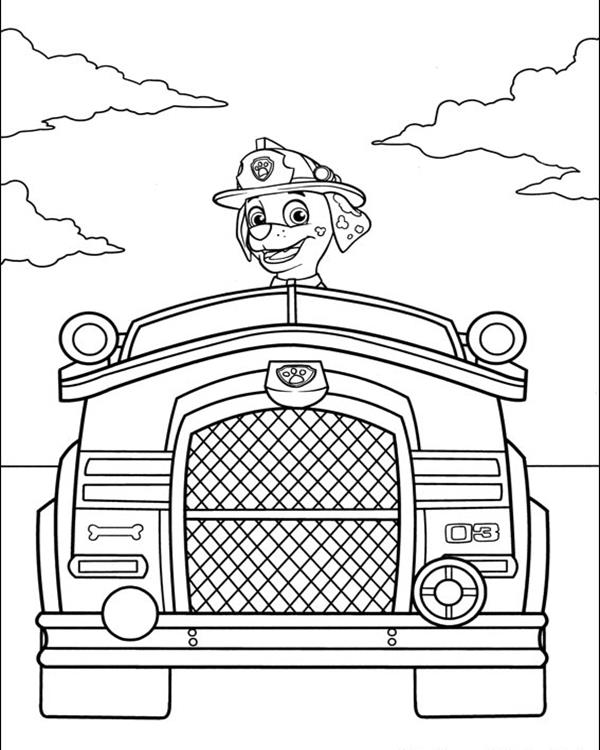Paw Patrol 41 Cool Coloring Page