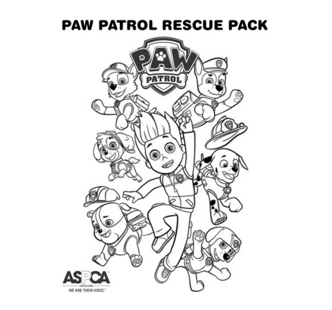 Paw Patrol 58 For Kids Coloring Page