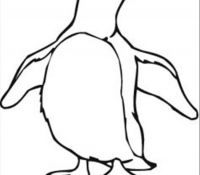 Cool Penguin 13
