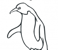 Cool Penguin 17