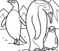 Penguin 38 For Kids