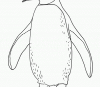 Penguin 4 Cool