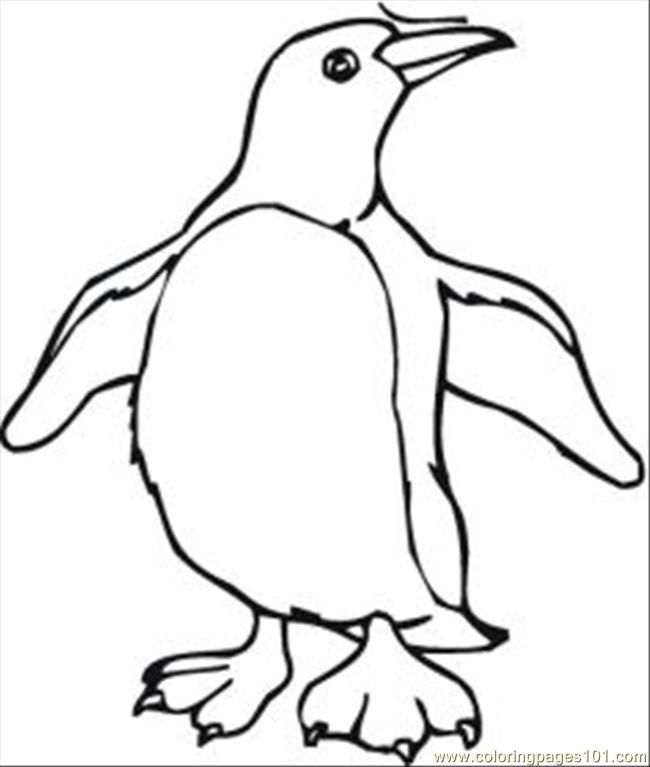 Cool Penguin 13 Coloring Page