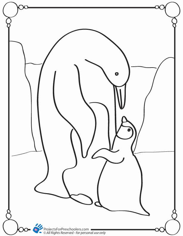 Penguin 14 Cool Coloring Page