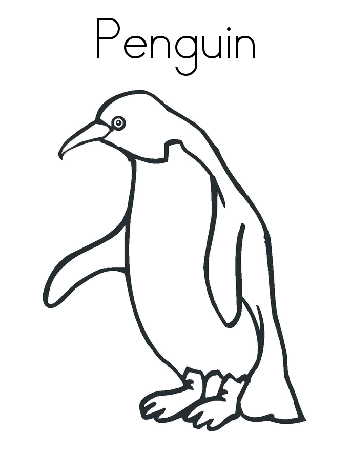 Cool Penguin 17 Coloring Page