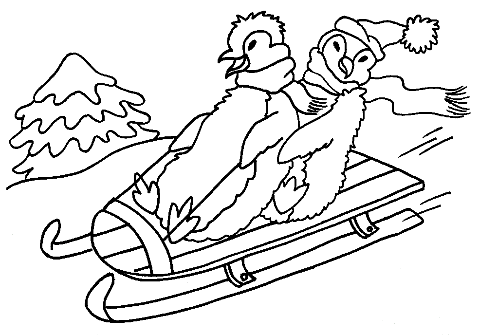 Penguin 19 For Kids Coloring Page