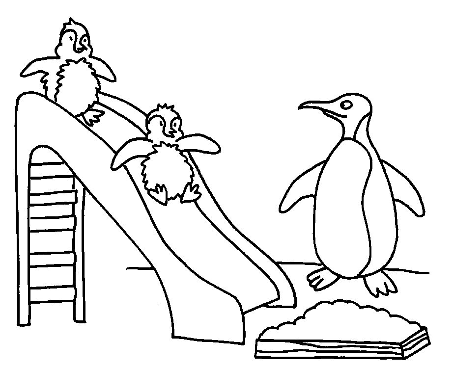 Penguin 2 Cool Coloring Page