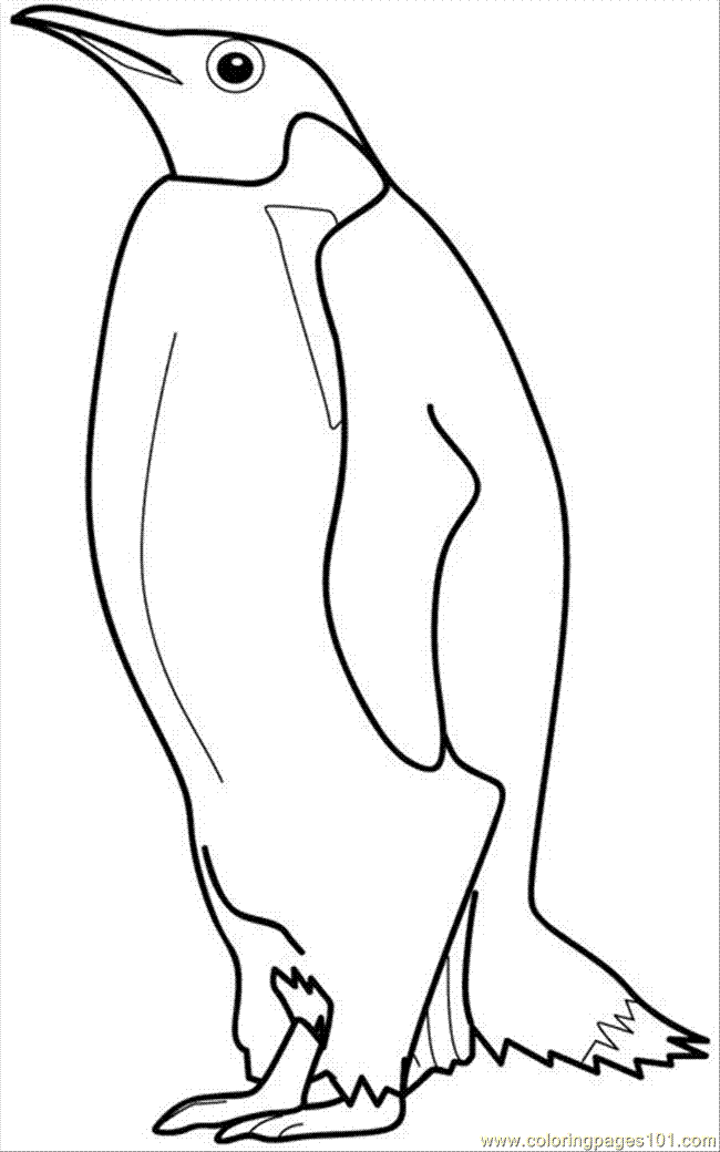 Penguin 26 For Kids Coloring Page