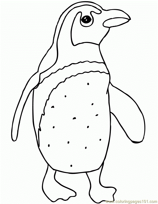 Cool Penguin 28 Coloring Page