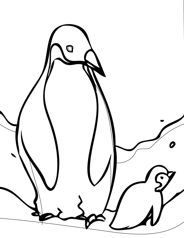 Penguin 3 For Kids Coloring Page
