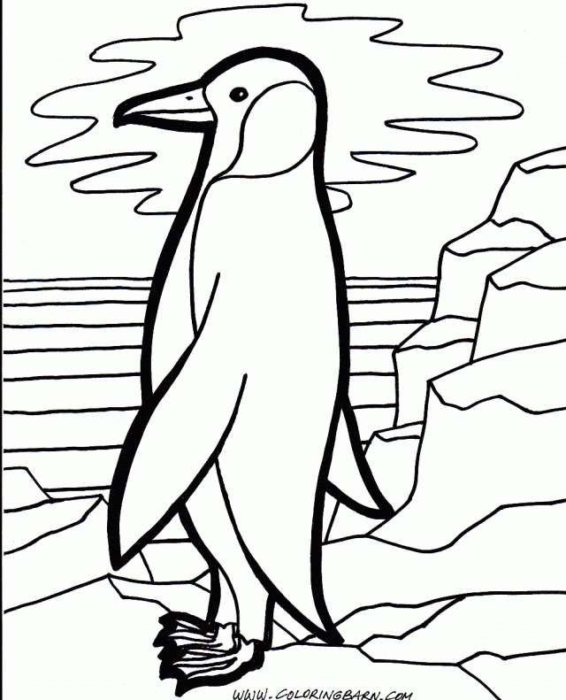 Penguin 30 For Kids Coloring Page