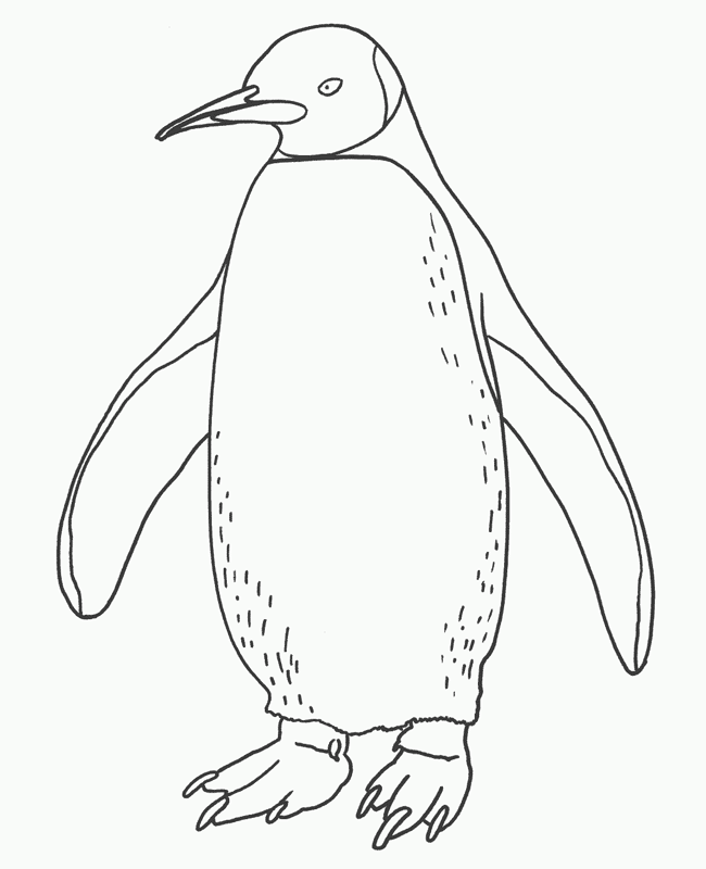 Penguin 4 Cool Coloring Page