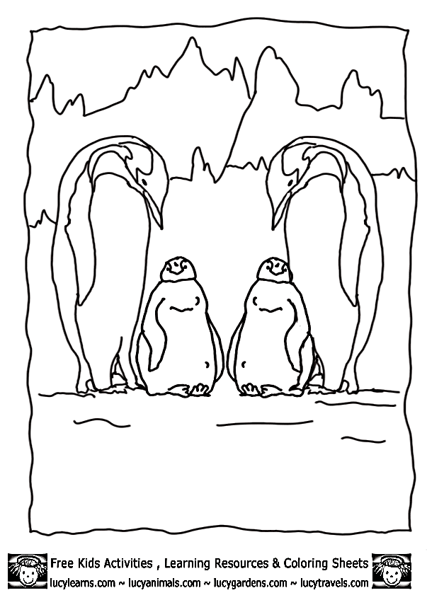 Cool Penguin 44