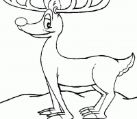 Reindeer 45 For Kids
