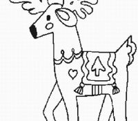 Reindeer 49 For Kids