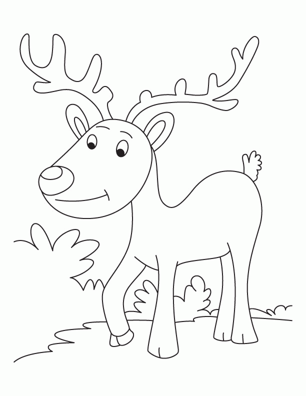 Reindeer 15 Cool Coloring Page
