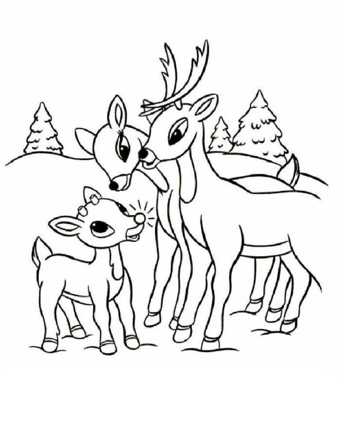 Reindeer 23 Cool Coloring Page
