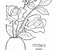 Rose 3 For Kids