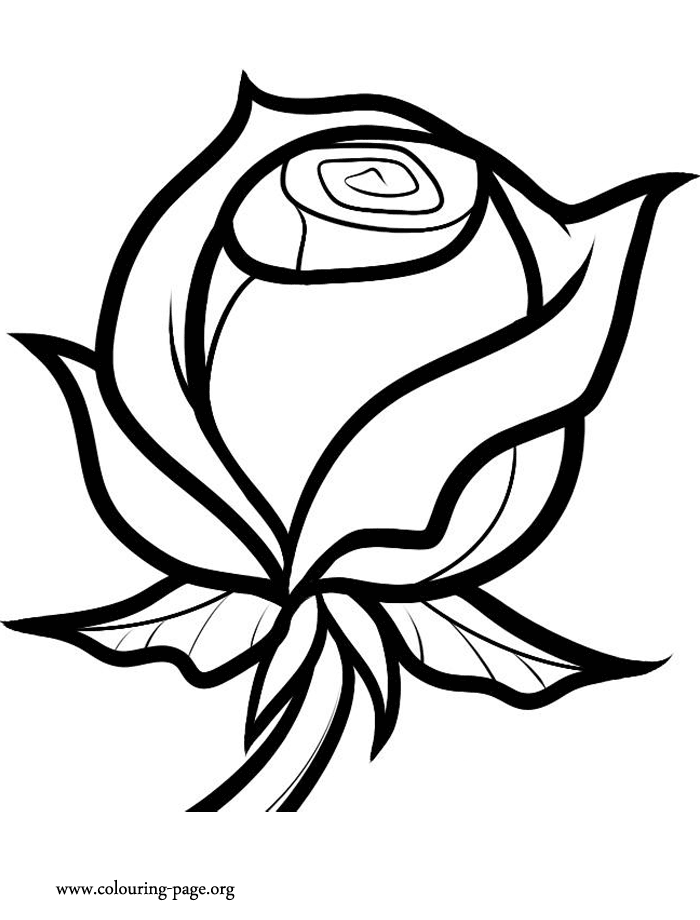Rose 2 Cool Coloring Page