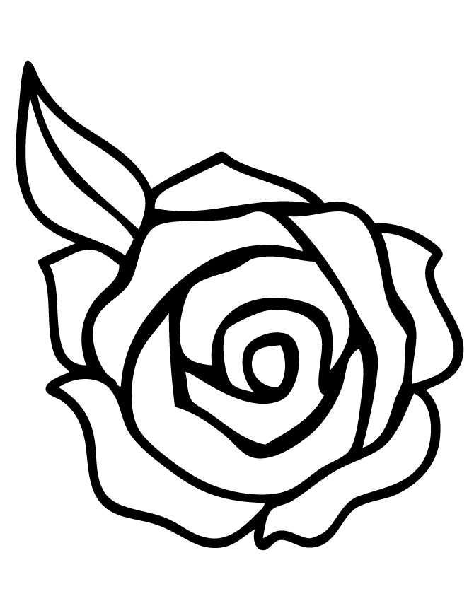 Rose 4 Cool Coloring Page