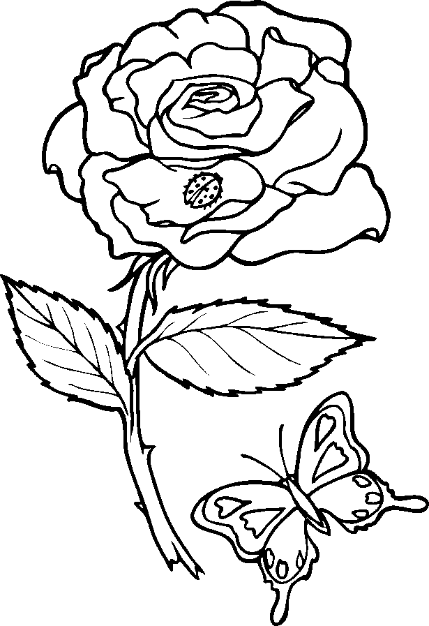 Cool Rose 9 Coloring Page