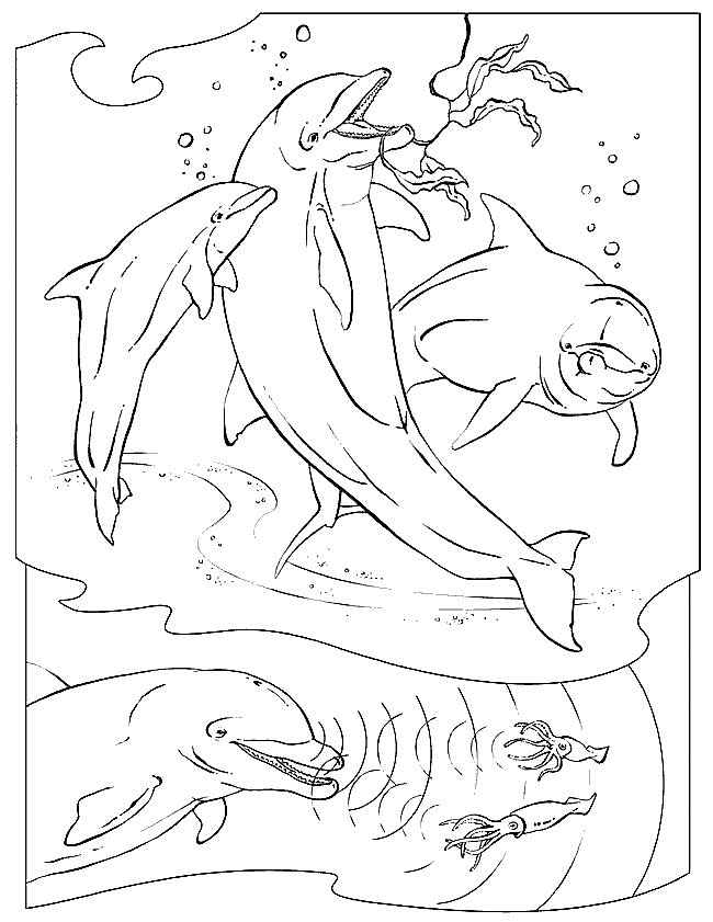 Sea Animal 10 Cool Coloring Page