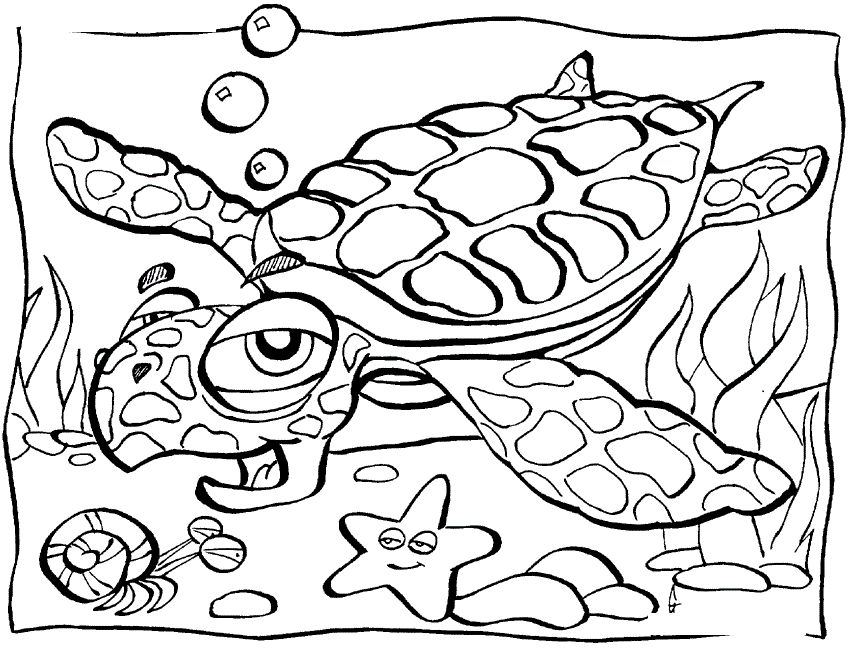 Cool Sea Animal 15 Coloring Page