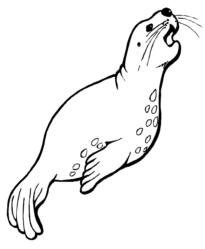 Sea Animal 18 Cool Coloring Page